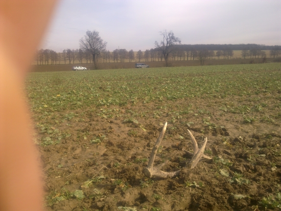 Zasa nájdený s auta...