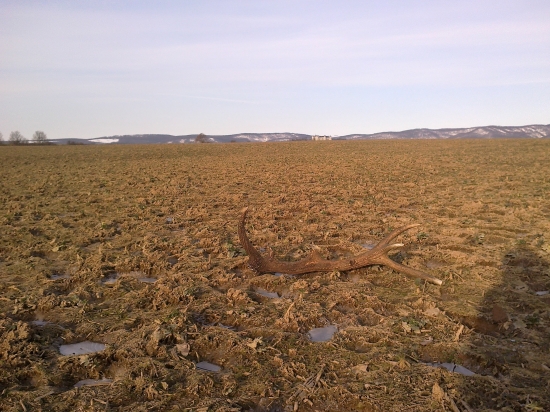 Na taký pohľad sa nezabúda =)