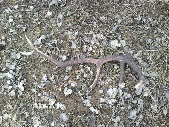 Pár ku zhodu ktorý som pridal včera ID:200542