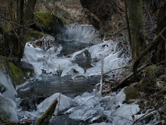 potvočik