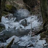 potvočik