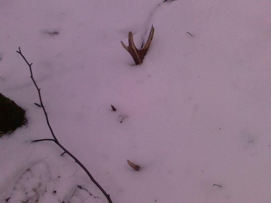 skoro som ho nezbadal