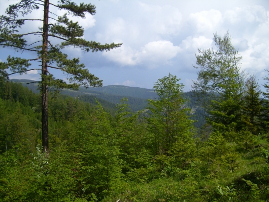 Bohatstvo Slovenka
