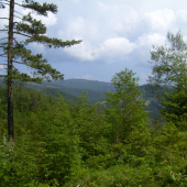 Bohatstvo Slovenka