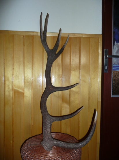 iný pohľad na tú istú krásu