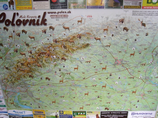 Poľovník Malé Karpaty