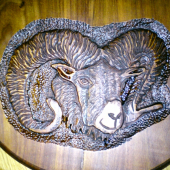 muflón