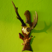 podložka 2