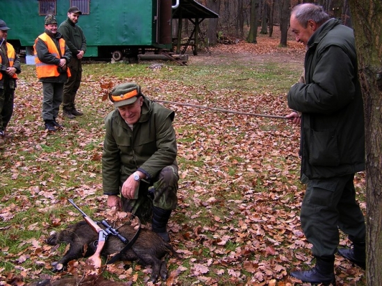 Malý, ale prvý...:-)