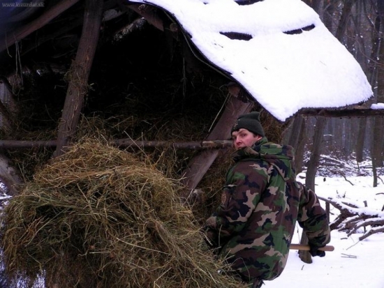 V núdzi poznáš priateľa...