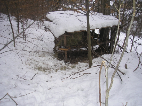 dnes doplnovanie zasob