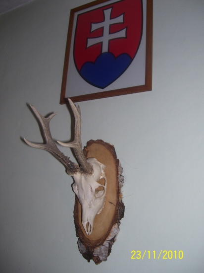 srnec