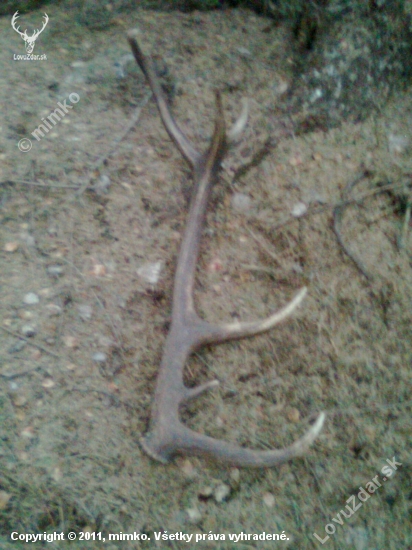 12 torak