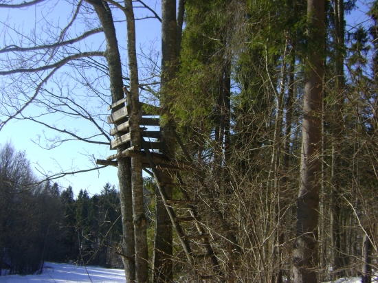 posed a krmivo na luke