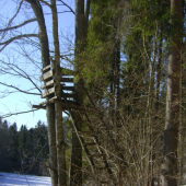 posed a krmivo na luke