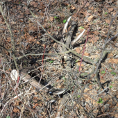 Po roku dohľadaný pár.