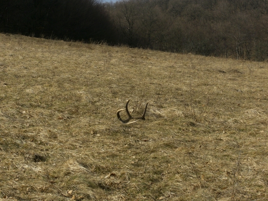 moja krátka prechádzka