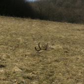 moja krátka prechádzka