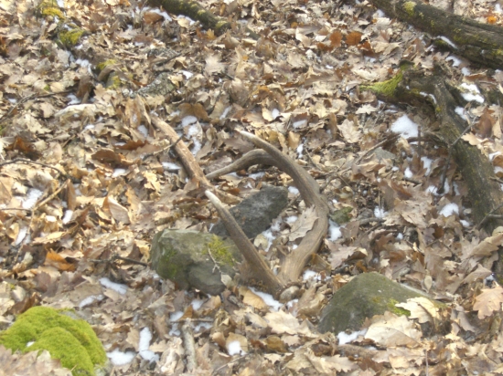 kúsok pod chodníkom