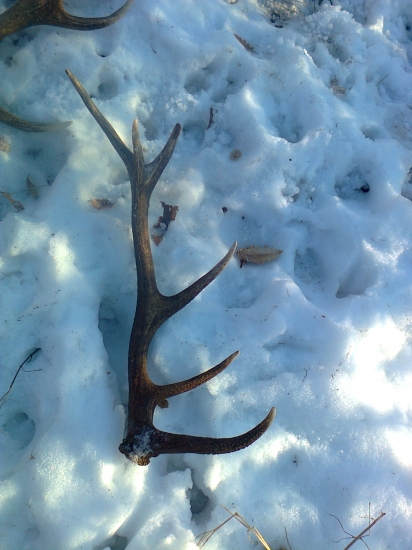 len tak na chodnicku