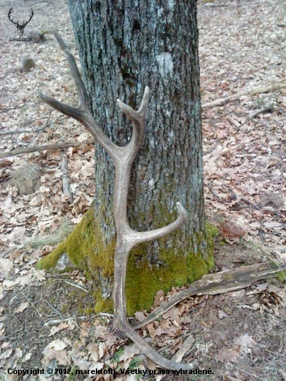 2.50 kg
