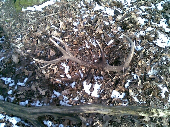 krasna spomienka na rok 2011