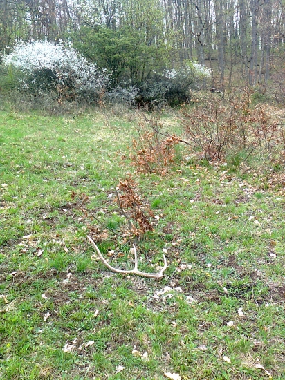 lepsie ako nic :-))))