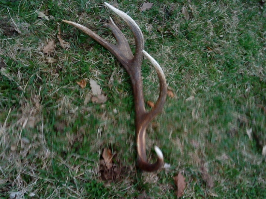 spomienka na rok 2012