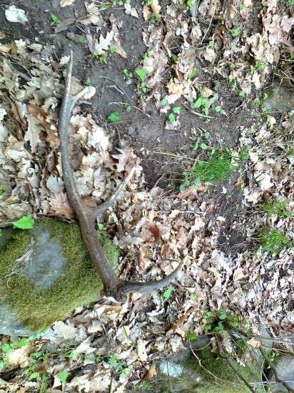 lepsie ako nič :-))