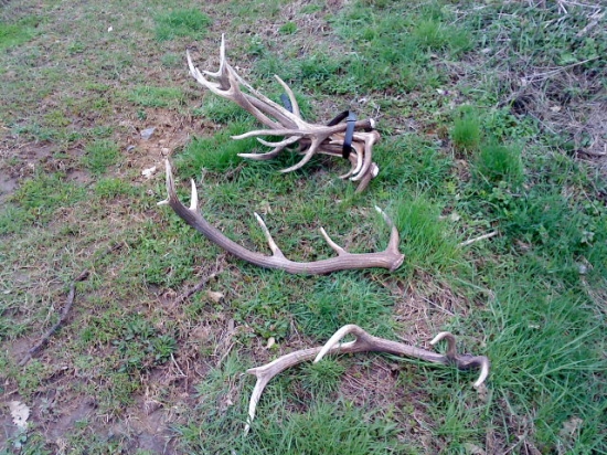 trosku sa darilo :-))