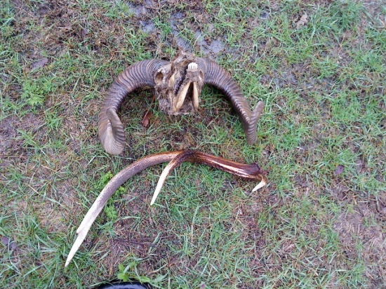 celkom pekna prechádzka :-))