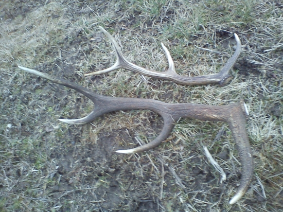 dnešná prechádzka