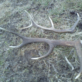 dnešná prechádzka