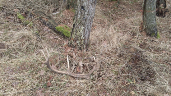 pohľad ktorý sa mi páči 