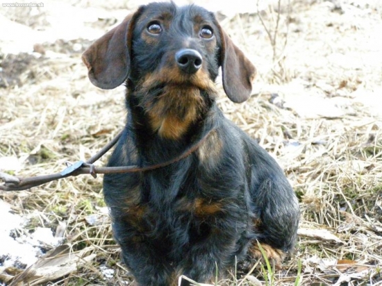 Agi z Ipeľského Brodu - 7 mesiacou