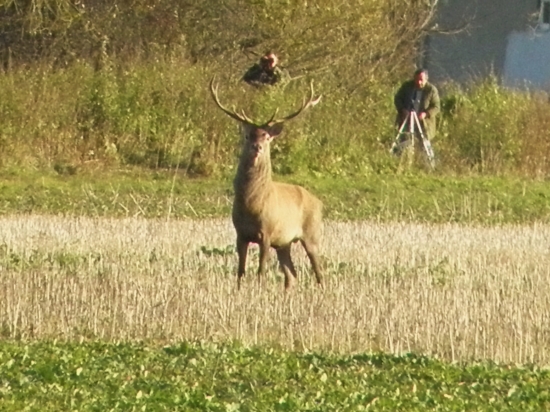 viac som sa mu páčil :D