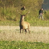 viac som sa mu páčil :D