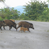 poďme, máme zelenú :D