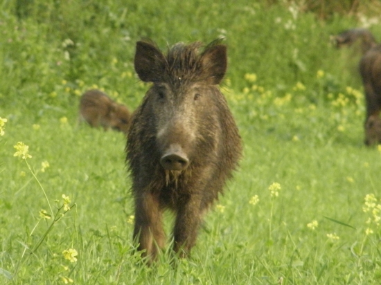 asi som sa jej nepáčil