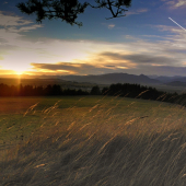 Kúsok z môjho okolia