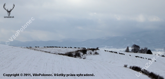 Je ich troška viac