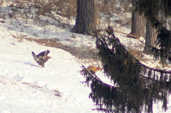 Škoda tej obrovskej diaľky :(
