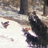 Škoda tej obrovskej diaľky :(