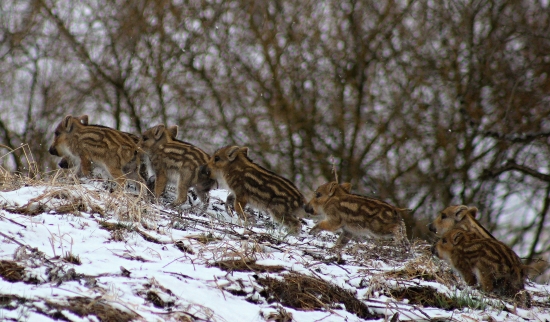 Už sme skoro hore ! :D
