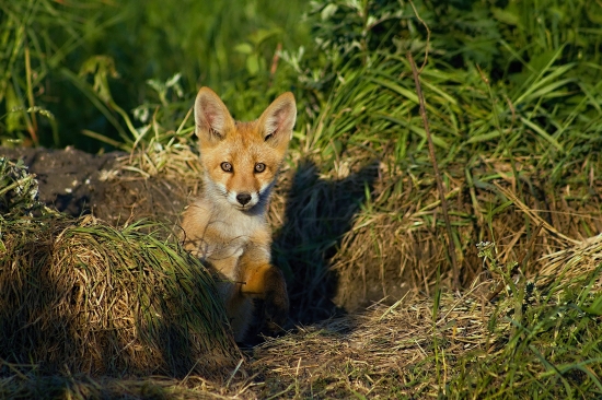 Konečne som sa dočkal
