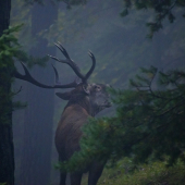 Až sa hora triasla!