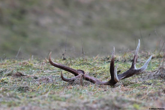 Šťastie sa usmialo..