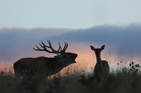 Keď sa rola vymení :D