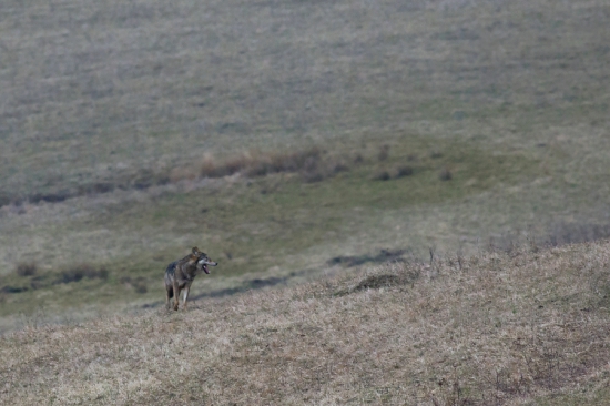 Prekliate, no zároveň úžasné ráno..