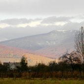 vihorlat